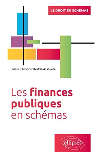 Les  finances publiques en schémas