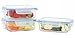 Kinetic 55076 6 Piece Glasslock Elements Series Rectangular Food Storage Set with Vented Lids, Clear by Kinetic A Division of Pathway
