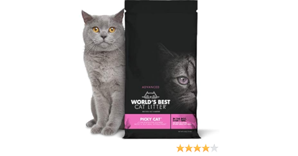 best litter box for picky cats