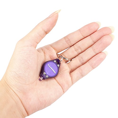 LUMAND 10 Pack Uv Mini LED Flashlight Keychain Torch Light Lamp Id Currency Passports Detector (10Pcs, Purple) - Thumbnail 6
