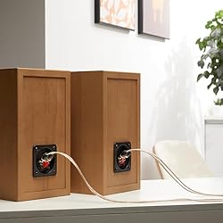 Amazon Basics Speaker Connector Banana Plugs,12