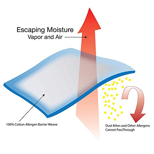 Allersoft 100Percent Cotton Bed Bug, Dust Mite & Allergy Control Duvet