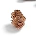 BYHER Pine Cones, Mini Pinecones in Bulk for Crafts, 8OZ, Pack of 110 (Natural)
