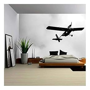 Ultralight Weight Airplane Flying in The Sky - Removable Wall Mural | Self-Adhesive Large Wallpaper - 66x96 inches