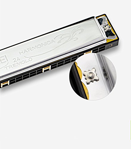 Blues Harmonica, C Key 24 Holes Major Diatonic Double Tremolo, Harmonica Musical Instrument Accessories for Children, Student, Adult Beginner with Case, with Tone Mark (silver)