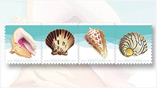 Seashells Postcard Stamp USPS Forever Stamps, Roll of 100 - US Postage Card Stamps