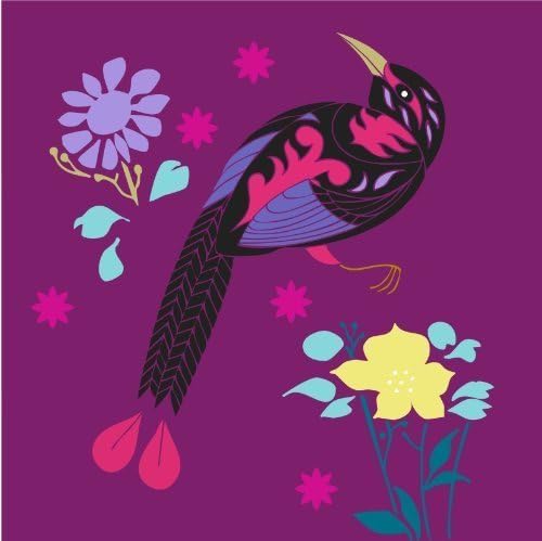 IONA Cards FREE Delivery 8 Greetings Card Stationery Notecards - Birds of Paradise - 8 Mixed Notelets - Blank - for for birthday cards, invites, thank you and sorry cards