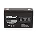 ExpertPower 6V 10AH Sealed Lead Acid (SLA) Battery with F1 Terminal