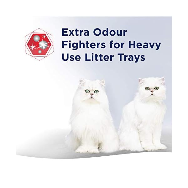 Ever-Clean-Multiple-Cat-Litter-10-Litre-Scented Ever Clean Multiple Cat Litter, Scented ,Grey, 10 Litre