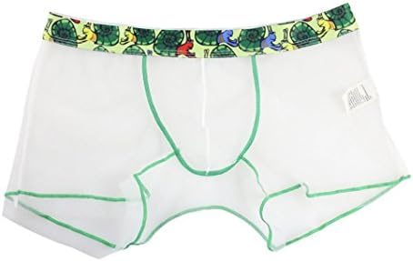 kaifongfu Apparel Men Underwear,kaifongfu Mesh Transparent Underpants for Men Boxer Briefs Pouch Soft Underpants (XL, White)