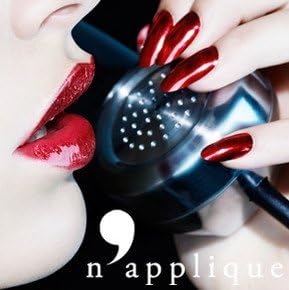 N'Applique Professional Mini Hair Dryer