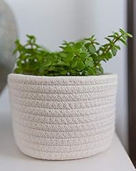 OrganiHaus 3-Pack White Cotton Rope Baskets for