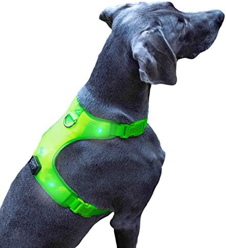 riijk LED Dog Vest Safety Vest with Flashing Light, Adjustable Harness Vest 3 Mode 6 Lights, Light Collar
