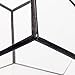 Mindful Design Glass Terrarium - Geometric Dodecahedron Desktop Garden Planter (Black)