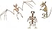 Halloween Skeleton - Plastic Skeleton - Rat Skeleton - Crazy and Creepy Halloween Skeletons That Don't Always Have to Be Human Bones - Skeleton Raven - Blood Thirsty Bat - Halloween Decorations