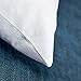 StarryBedding Down and Feather Square 18x18 Inch Throw Pillow Insert, Set of 2, 100% Cotton