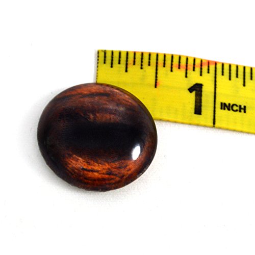 25mm Single Brown Horse Glass Eye for Taxidermy Sculptures or Jewelry Making Crafts