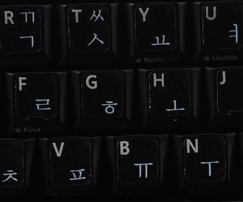 KOREAN KEYBOARD LABELS LAYOUT WITH WHITE LETTERING ON TRANSPARENT BACKGROUND