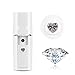 PJY Nano Facial Steamer Mister Spray Eyelash Extensions Cleaning Pores Water SPA Moisturizing & Hydrating Face Sprayer USB Rechargeable Mini Beauty Device - White (Nano Mister)