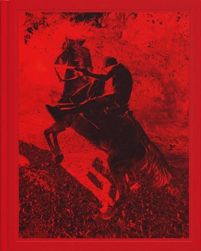 アート・デザイン・音楽 Richard Prince Lisa Phillips Richard Prince: Phillips, Lisa: 9780874270808: Amazon.com: Books