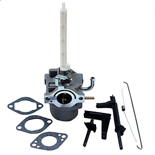 KIPA Carburetor for Briggs & Stratton 796122 793161 696737 794593 Replace # 20A113 20A114 20B414 20C114 20E114 20M107 20M114 20M212 20M214 Series Engines Carb