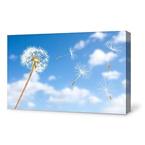 Canvas Wall Art for Living Room,Bedroom Home Artwork Paintings Dandelion Ready to Hang - 12x18 inches