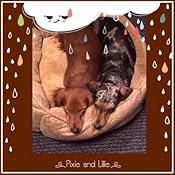 amazon prime petgentle