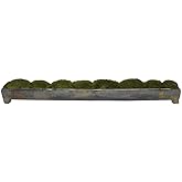 Uttermost Canal Green Moss 34" W Centerpiece in Oxidized Bronze Tray