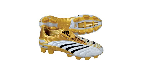 predator absolute gold