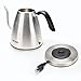 Aroma Housewares Professional AWK-210SB Electric Water Kettle, 1.0 liter, Sliver