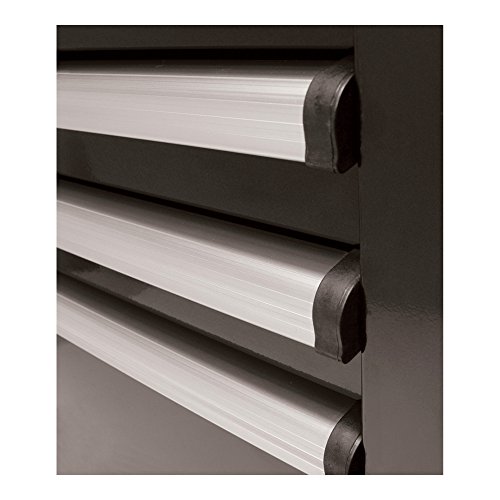Homak H2PRO Series 56-Inch 8-Drawer with 2-Drawer Compartment Roller, Black, BK04056082