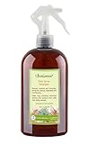Daily Spray Detangler | Best Hair DeTangler | Combing So Easy Without Breakage or Leaving Residue