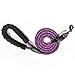 VLDCO 10 FT Strong Dog Leash Extra Heavy Duty Rock Climbing Rope Comfortable Padded Handle Highly Reflective Threads for Small Medium Large Dogs, 1/2 inch Diameter (Purple)