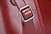 HESHE Women's Fashion Backpack Purse Multipurpose Design Convertible Satchel Handbags Shoulder Bag Travel bag (Wine-R)