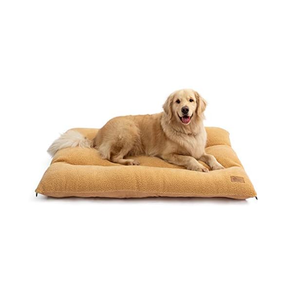 pet pillow bed