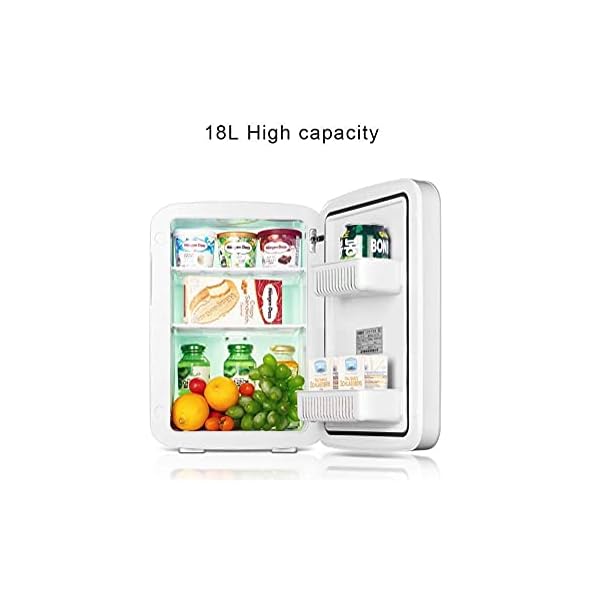 YANJ Portable Mini Fridge 12v 220v,Electric Cool Box Car refrigerator,Home And Car Dual Use Refrigeration And Heating Dual Use 18L Capacity 220V/12V LOLDF1