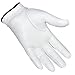 Intech Cabretta Leather Men's Golf Glove