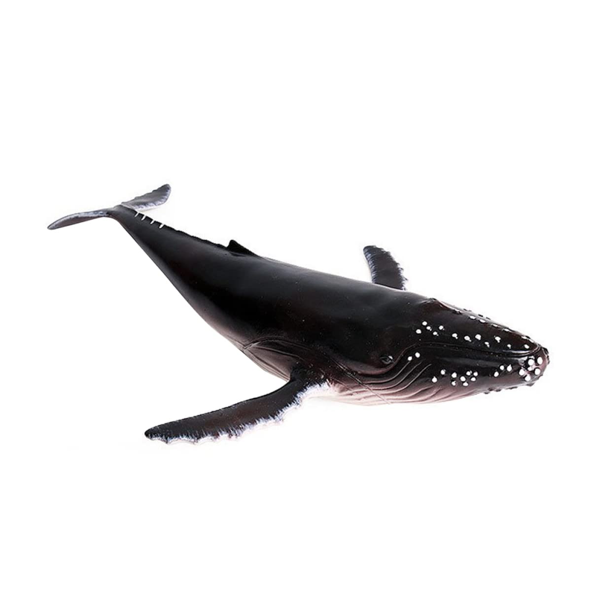 Toyvian Humpback Whale Model Lifelike Ocean Animal Figurine for Home Office Cafe Decor Educational Marine Life Toy 12.80In
