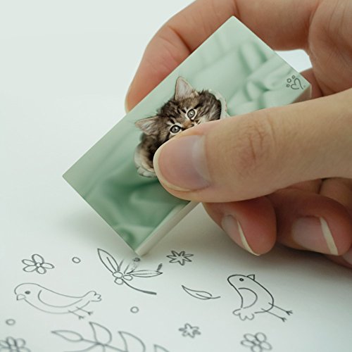 Manx Kitten Cat Vase Eraser Set of 2