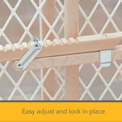 1 Diamond+Mesh+Gate+North+States