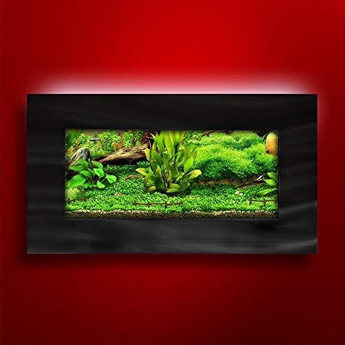 Aussie Aquariums 2.0 Wall Mounted Aquarium - View