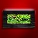 Aussie Aquarium AA-MINIVIEW-BBLACK 2.0 Wall Mounted Aquarium Brushed Blackthumb 1