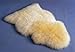 A-STAR Sheepskin Fur Rug Single Pelt 2x3 - Sheep Skin Area Rug (Ivory White)