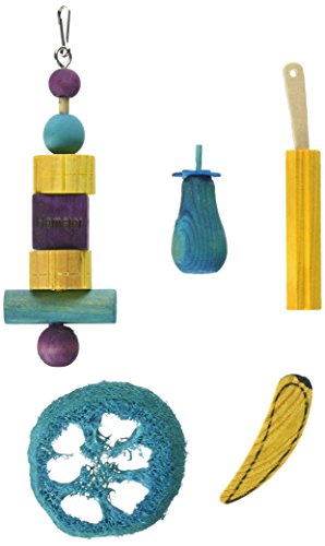 Kaytee Chew & Treat Toy Assortment for Hamsters (5 Pack)