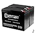 Mighty Max Battery 12V 10Ah New Battery for EZIP Scooter 4.0, 400, 450, 500-2 Pack