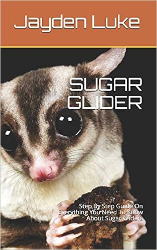 sugar glider amazon