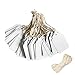 Marking Tags with String,100 Pieces White Price Tags with String Attached,Tags Display Label with Hanging String for Product Jewelry Clothing Sale Price Tags (Extra Free 33Ft String)