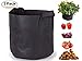 Seasonfall Plant Grow Bag, 5 Gallon Garden Potato Planter Bag with Strap Handles for Carrot, Tomato, Onion and Vegetablesthumb 1