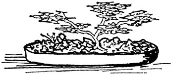Rubber Stamp: Bonsai Plant