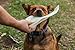 Top Dog Chews - Cow Ears Dog Treats, 12 Pack, America's Made, All Natural, Rich in Protein and Flavor, Healthy & Delicious Chew Treats.